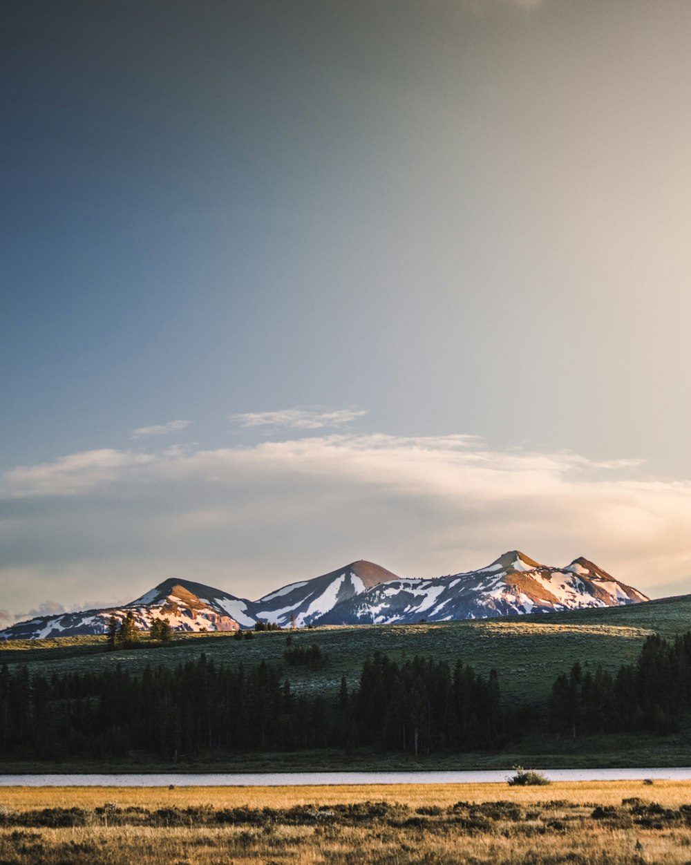 trees and mountain under clear sky