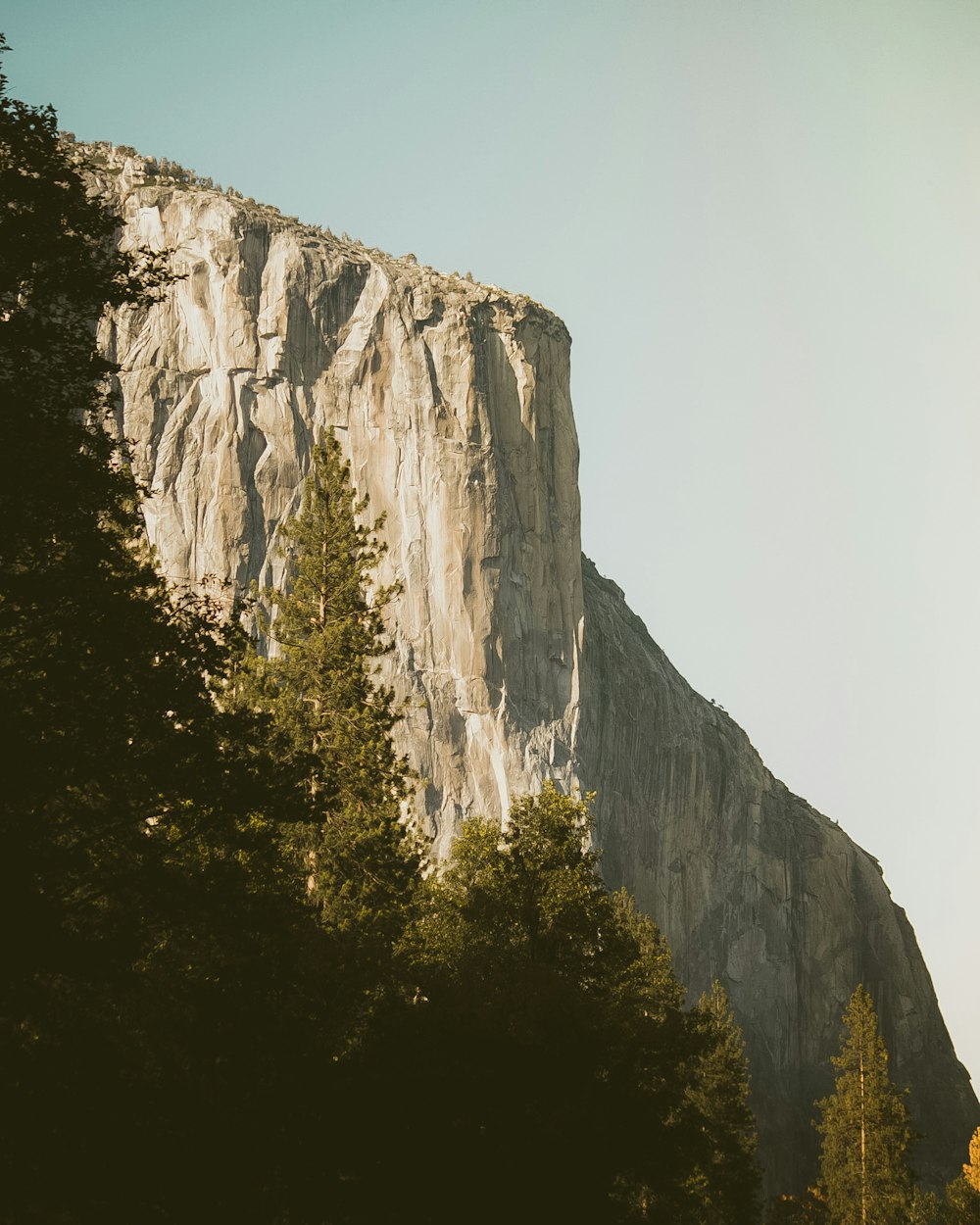 brown mountain surrounded by trees