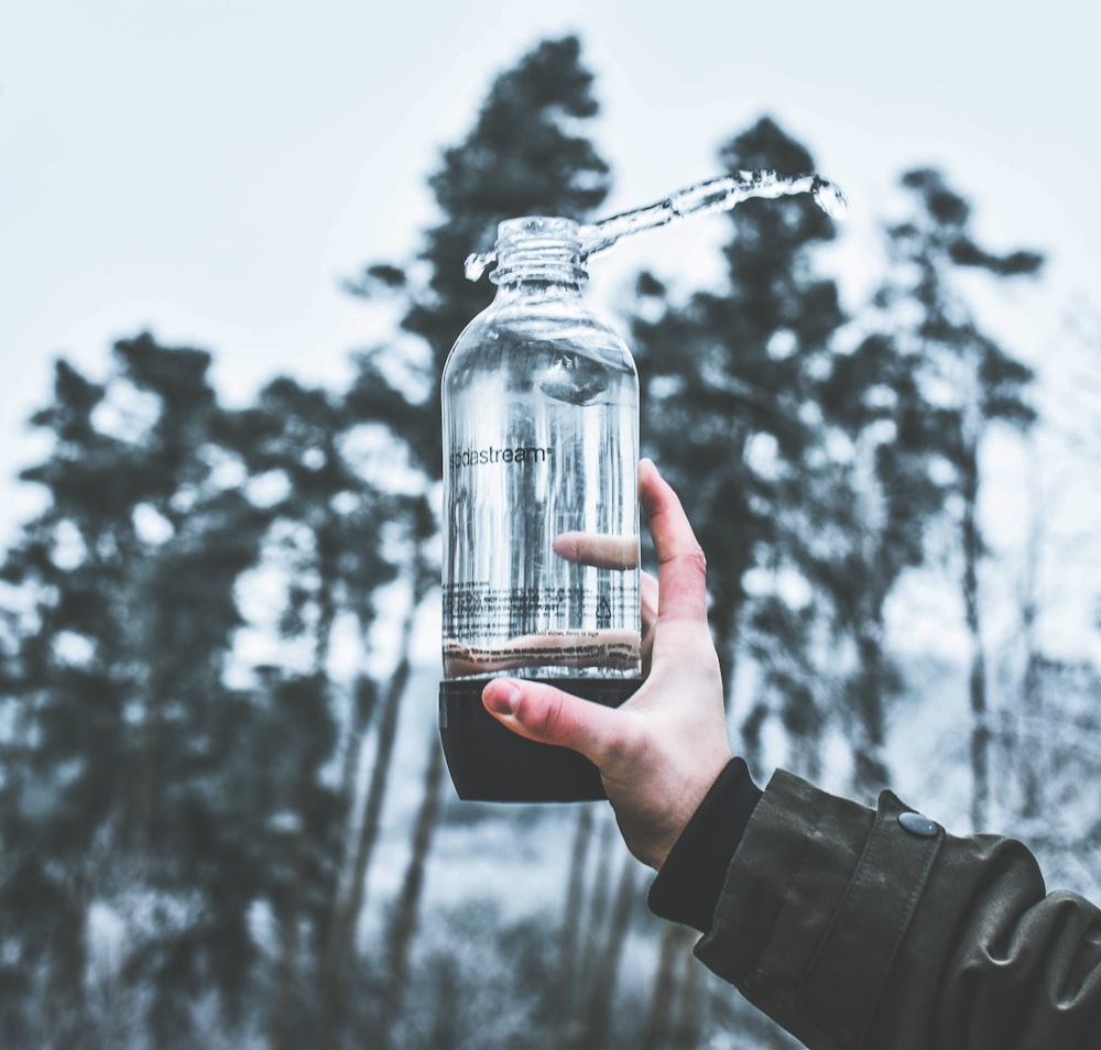 person holding glass bottle