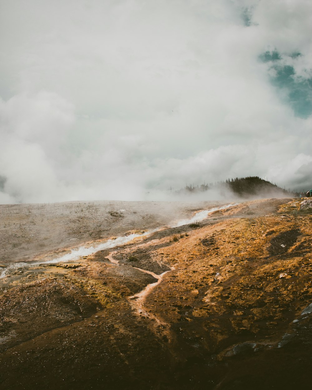 brown soil cover with fog