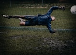 goalie about to catch the ball