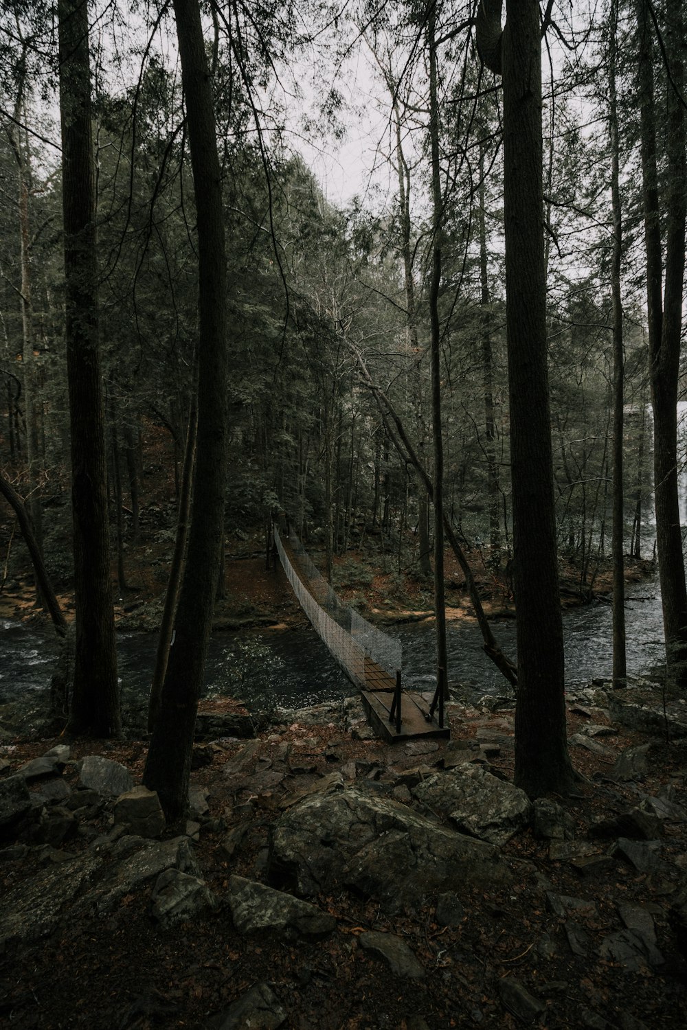 hanging bridge