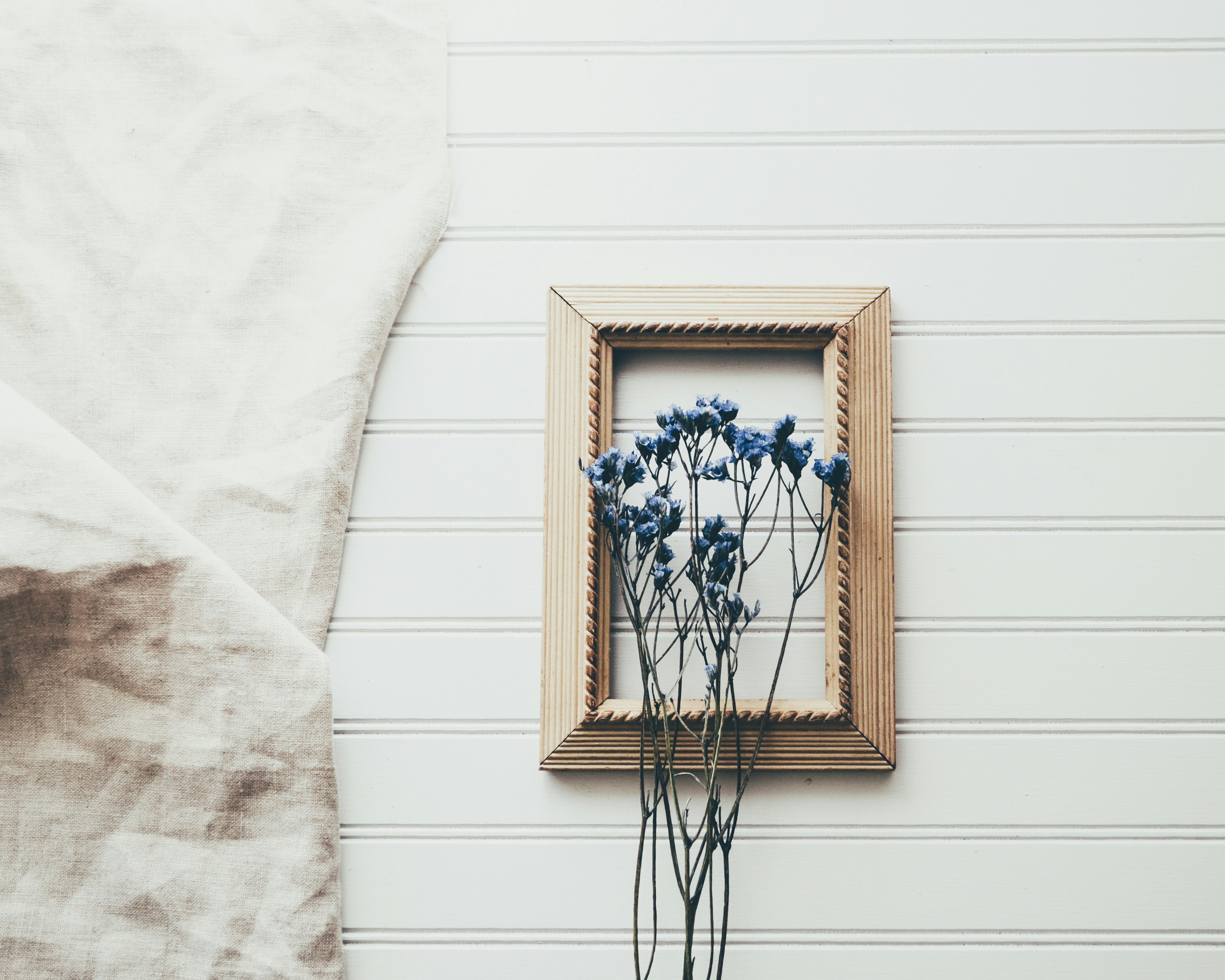 blue petaled flowers in front on brown wooden frame
