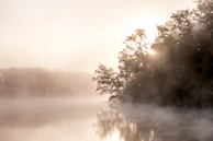 A serene landscape painting capturing a misty morning by the lake.