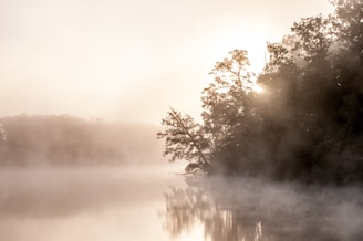 A serene landscape artwork capturing a misty morning by a quiet lake.