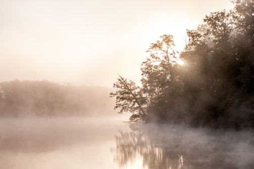 A serene landscape shot featuring mist rolling over a quiet lake at dawn.