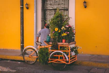 man standing near yellow trike with pots of flowers