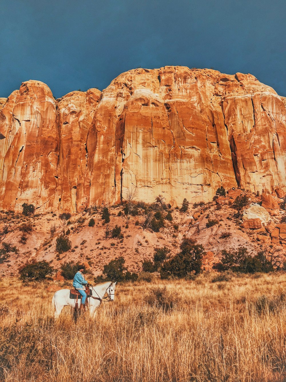 man riding white horse near mountain