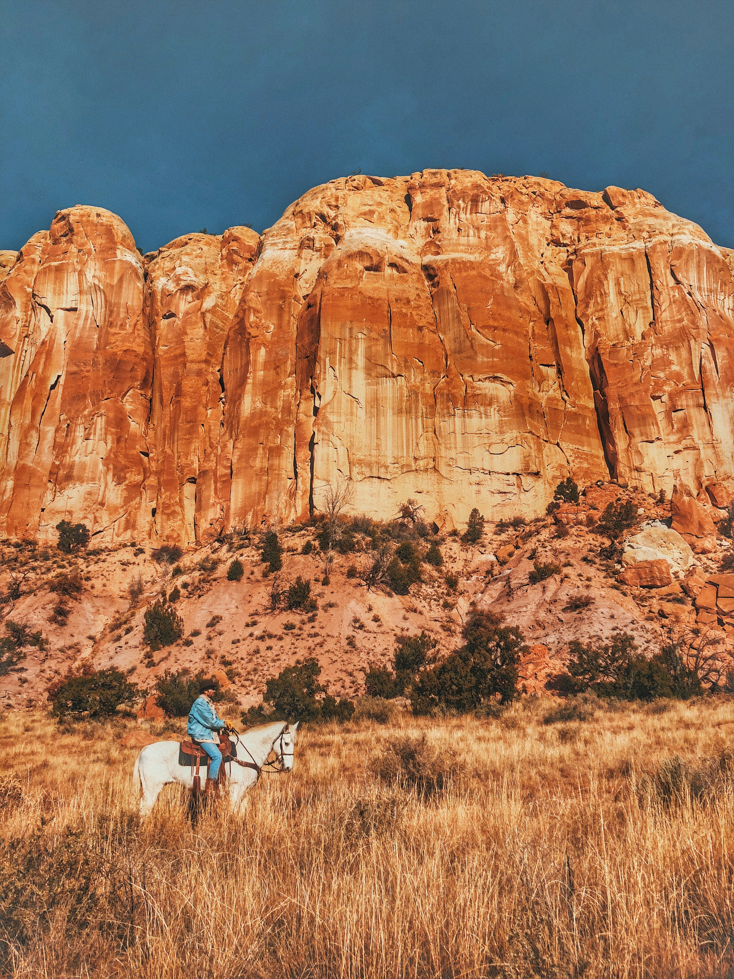 man riding white horse near mountain