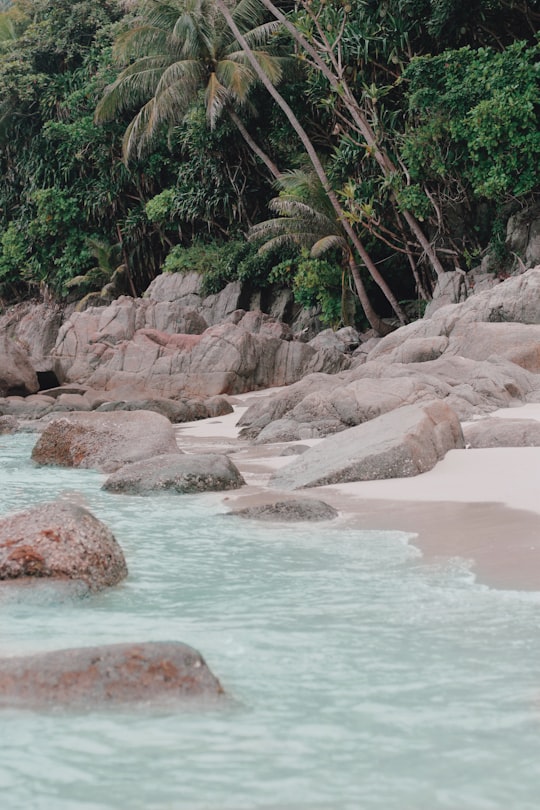 photo of green forest near rocky shorelines during daytime in Perhentian Islands Malaysia