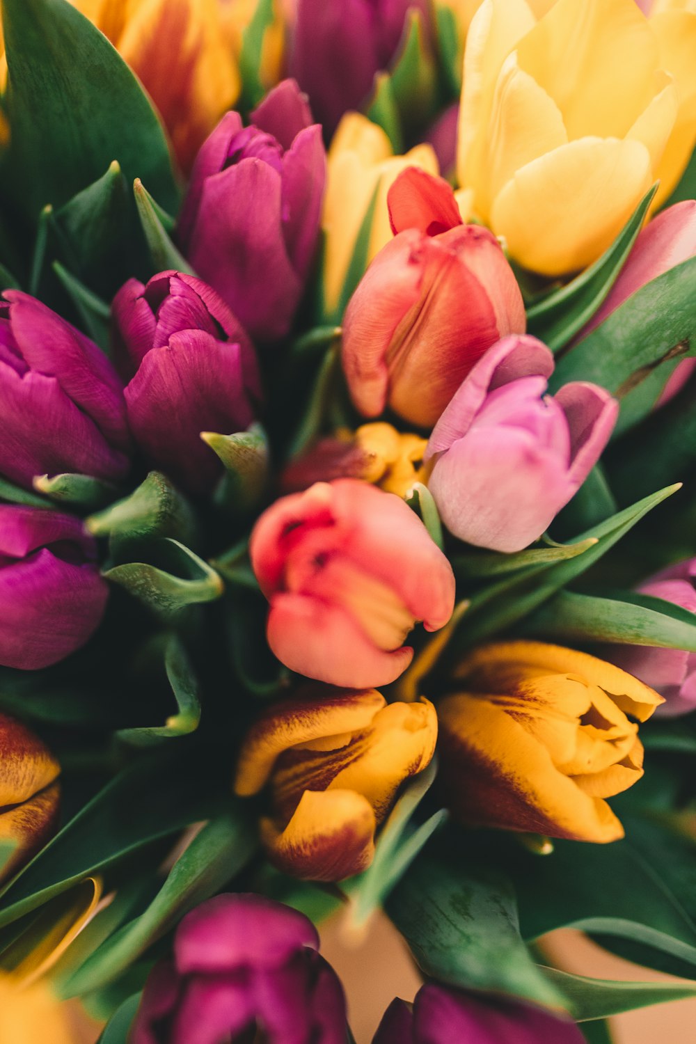 assorted flowers