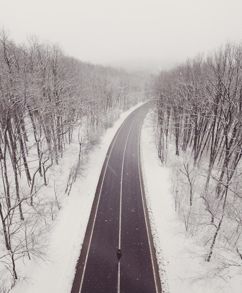 a road in the middle of a snowy forest