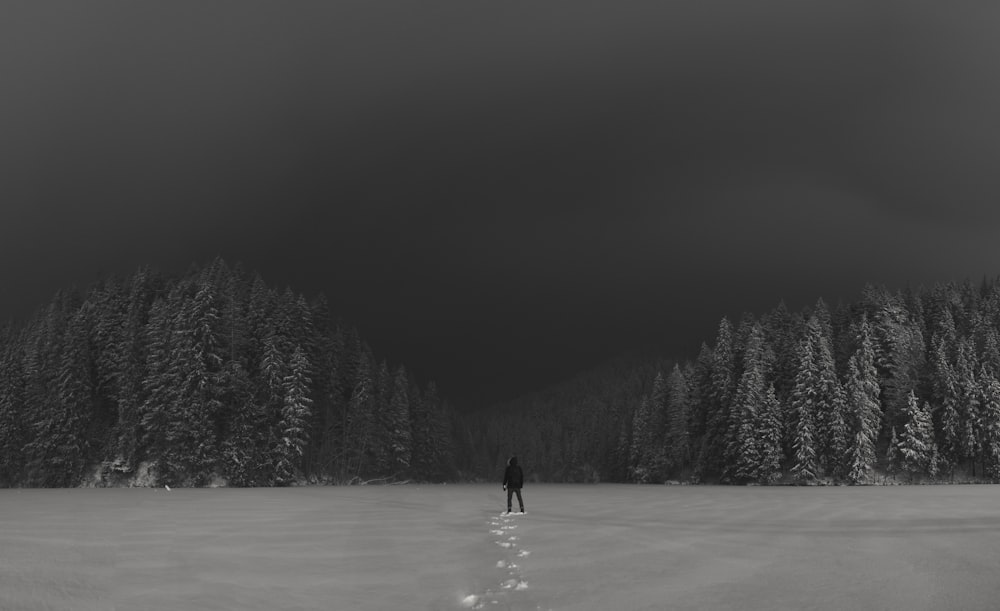 Graustufenfotografie einer Person, die auf einem Schneefeld steht