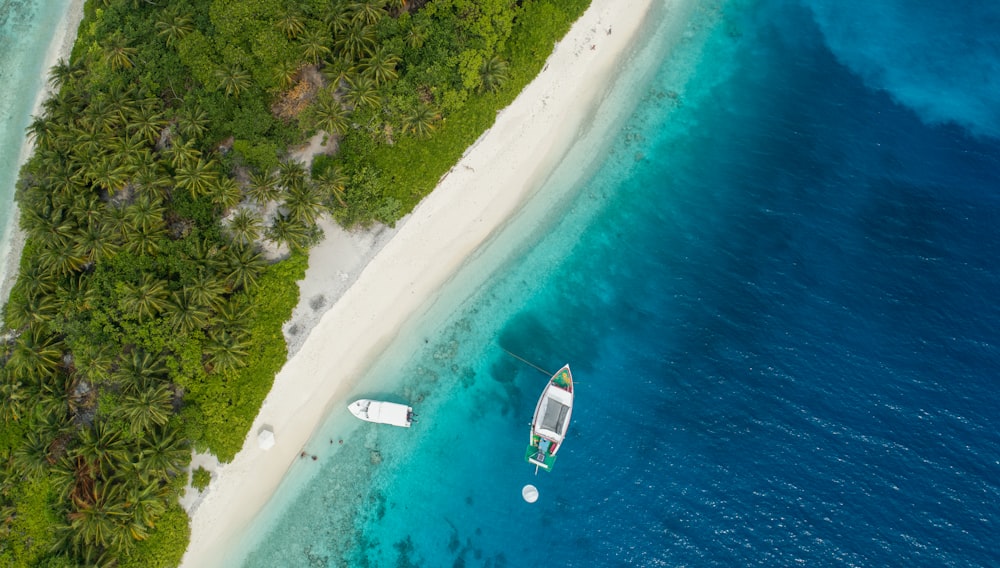 aerial photography of boats near shore