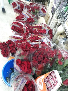 A selection of red roses packaged in clear plastic sleeves is abundantly displayed, placed in containers on the floor. The setting appears to be within a flower shop or a market, with various supplies such as floral foam visible on the shelves nearby.