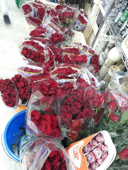 A selection of red roses packaged in clear plastic sleeves is abundantly displayed, placed in containers on the floor. The setting appears to be within a flower shop or a market, with various supplies such as floral foam visible on the shelves nearby.