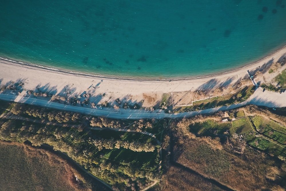 aerial photography of sea and green trees