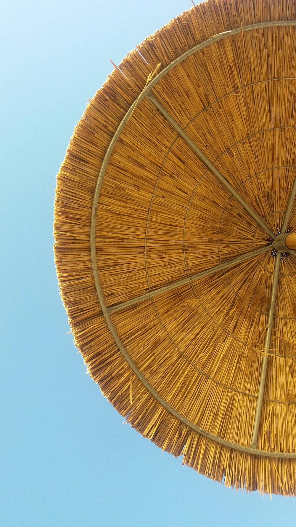 Fotografie aus der Wurmperspektive von beigefarbenem Sonnenschirm
