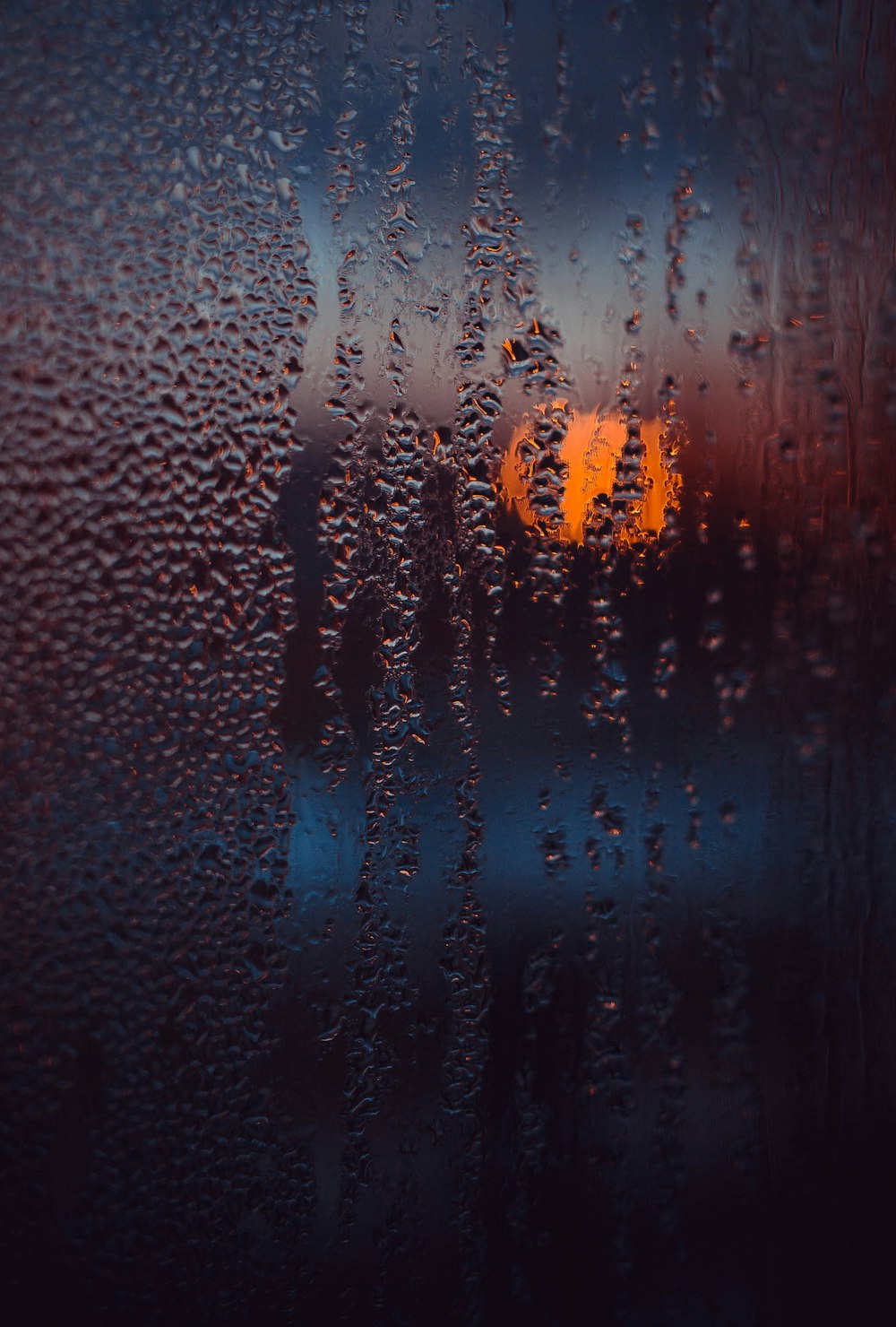 macro photography of dew drops on glass