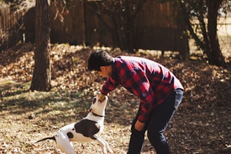 man playing with dog