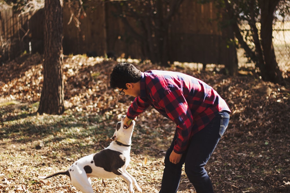 man playing with dog