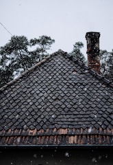 Dark and textured roof tiles with a dusting of snowflakes falling gently. A rustic chimney can be seen on the right side. In the background, tall evergreen trees are visible under an overcast sky.