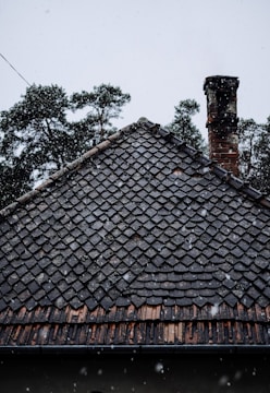 Dark and textured roof tiles with a dusting of snowflakes falling gently. A rustic chimney can be seen on the right side. In the background, tall evergreen trees are visible under an overcast sky.