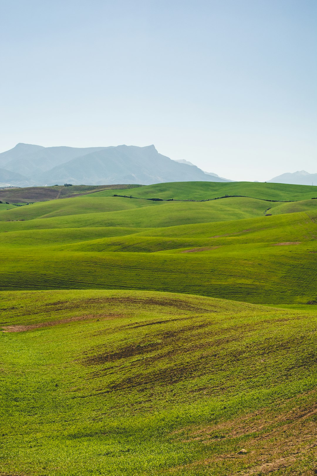 photo of Málaga Plain near Gibralfaro