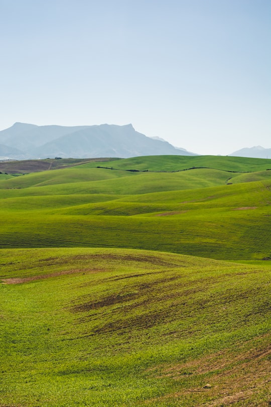 photo of Málaga Plain near Puerto Marina