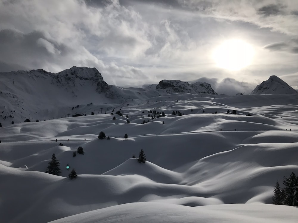 snowfield during golden hour