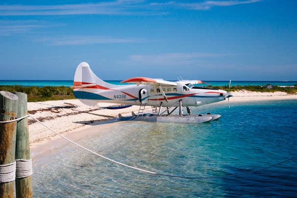 A seaplane with red and white markings is parked on a pristine, sandy beach with clear blue waters in the foreground. The shoreline is lined with low shrubbery and greenery, while the sky is clear and blue, suggesting a sunny day. A wooden post with ropes is visible on the left side.