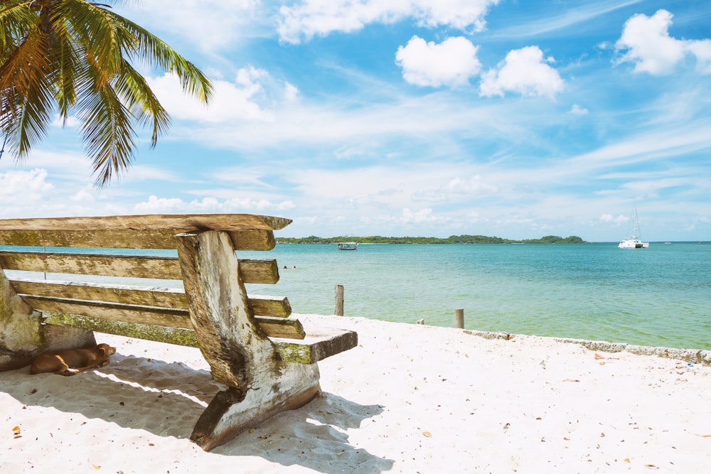 brown wooden bench on white beach sand