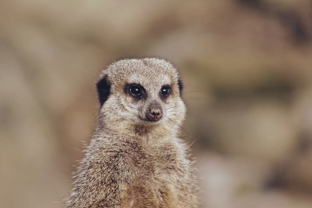 Wildlife photo spot Edinburgh Zoo Scotland