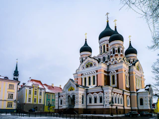 cathedral near houses during daytime