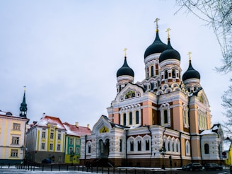 cathedral near houses during daytime