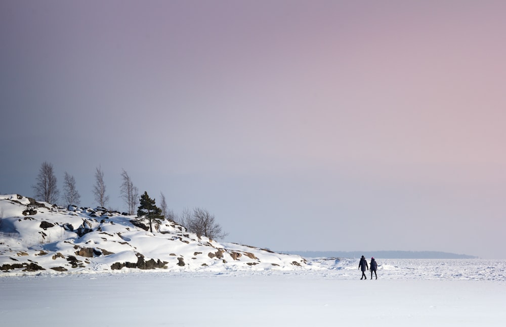 two person walking on lake with ice