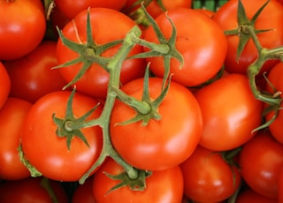 top view of tomatoes