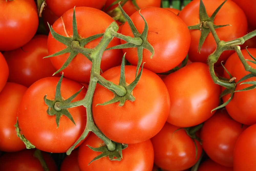 Vista superior de los tomates