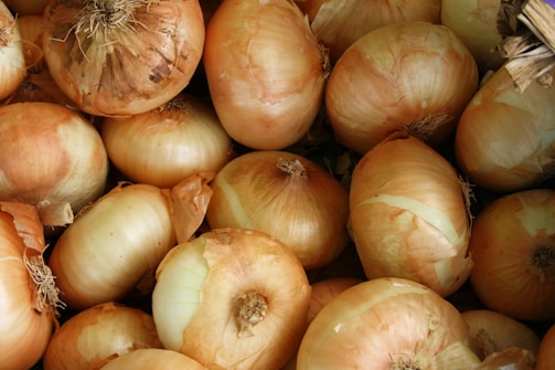 Close-up of golden onions stacked neatly in export boxes.