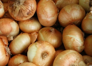 brown onion lot