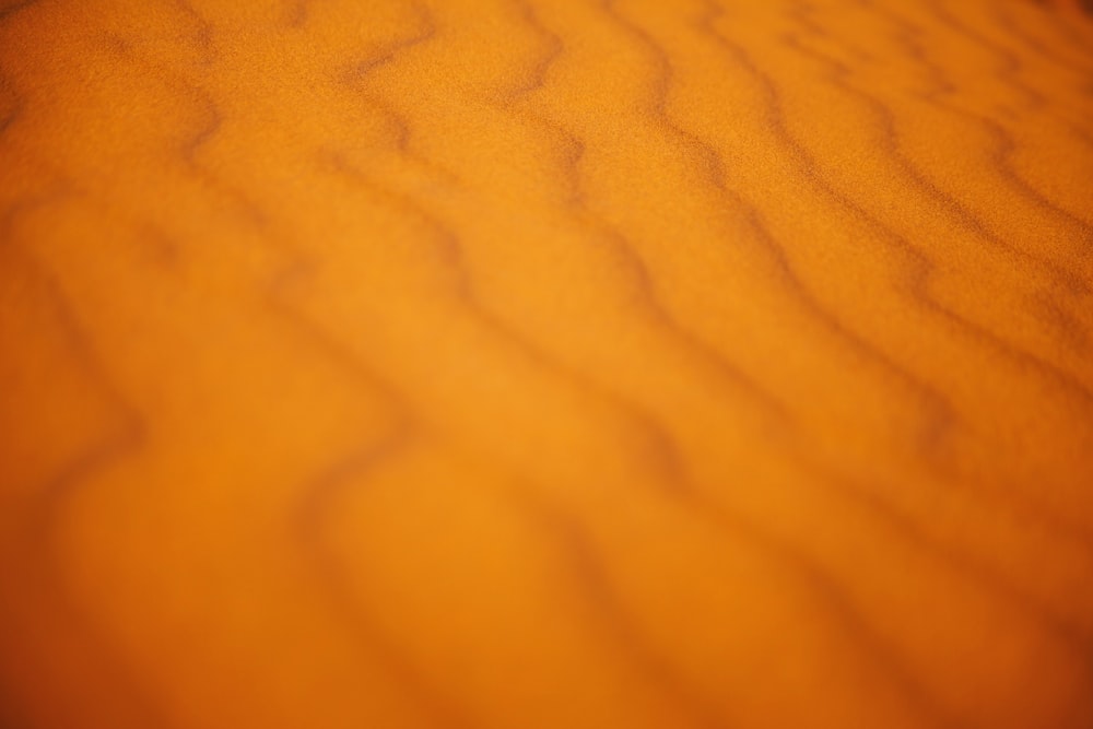 photo of desert