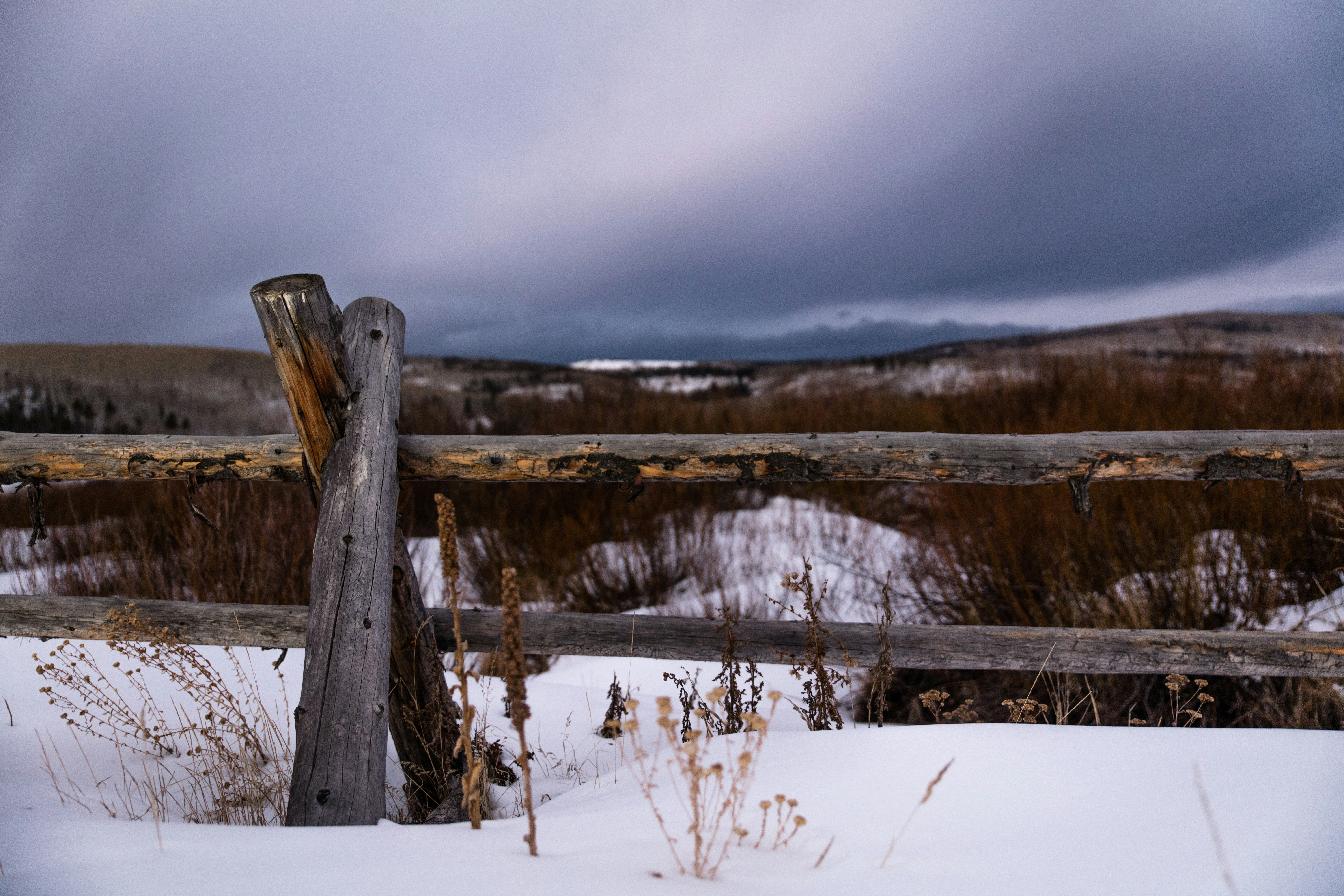 gray wooden fence in snow field