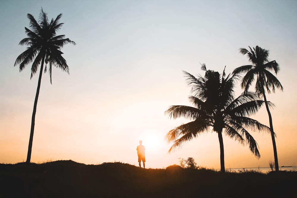 man standing near coconut trees during golden hour