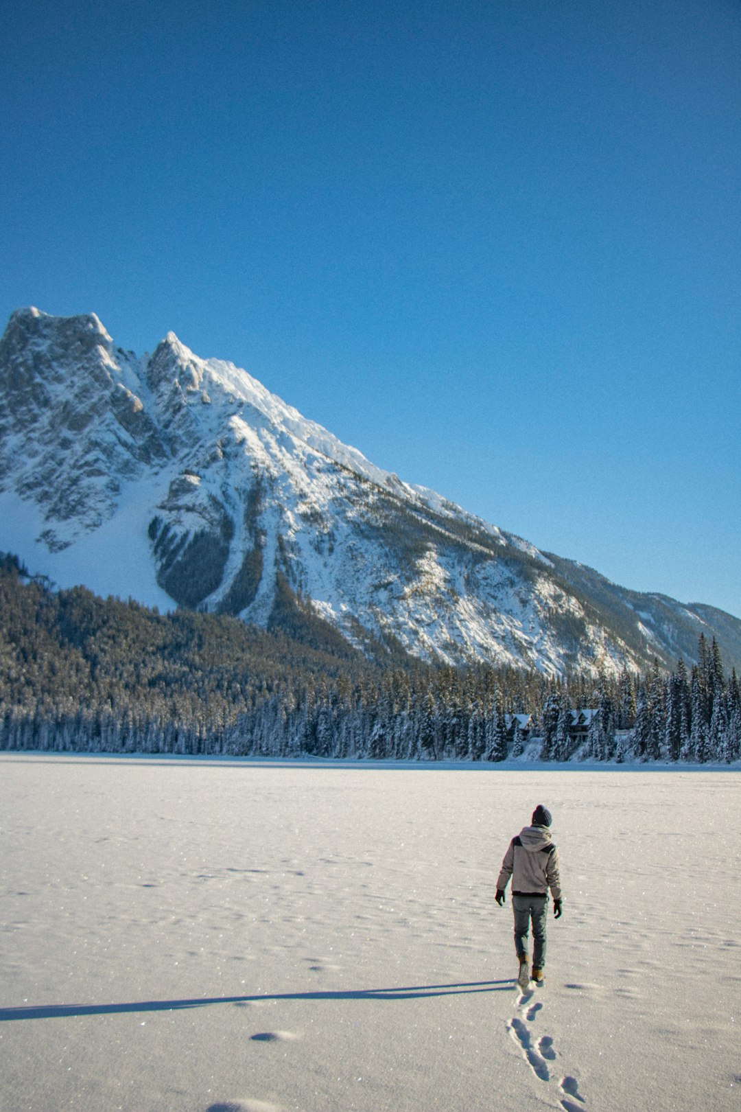 Mountain range photo spot Emerald Lake Abraham Lake