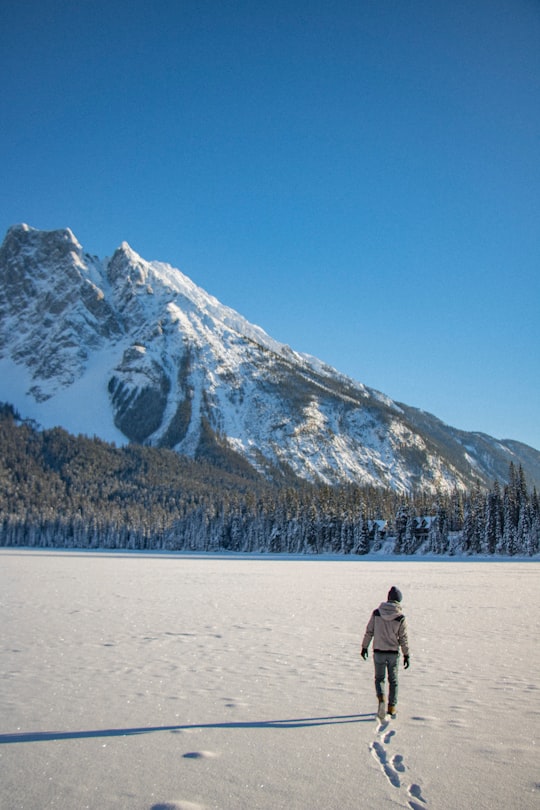 man walking in sand during daytime in Emerald Lake Canada