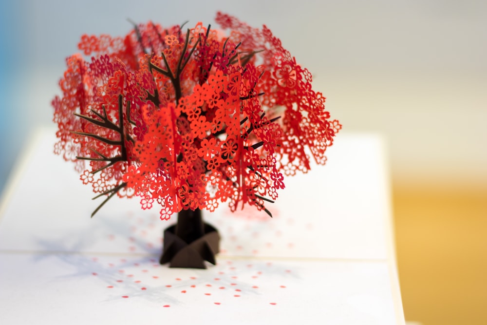 red flowers on white surface