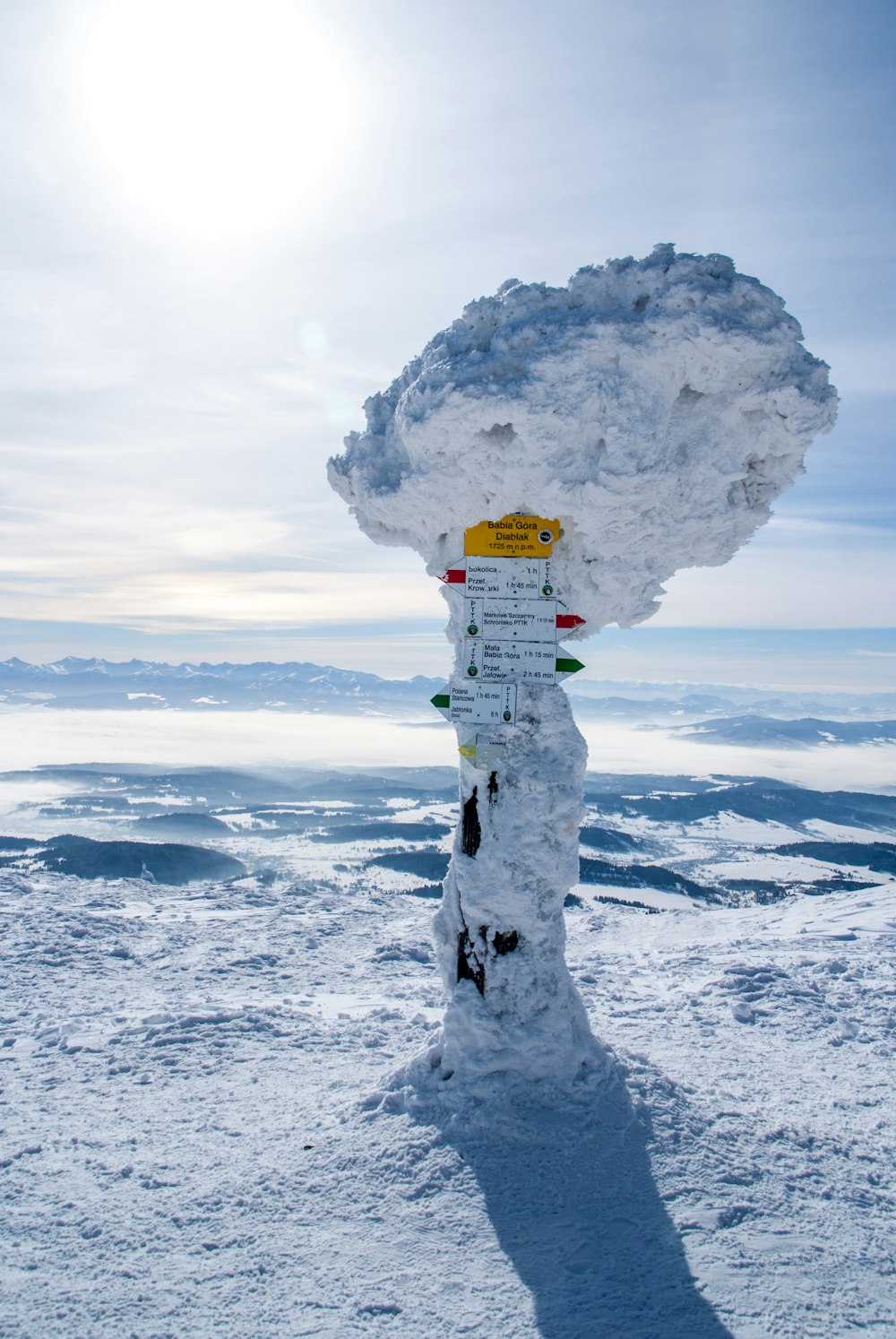 snow covered post with signage