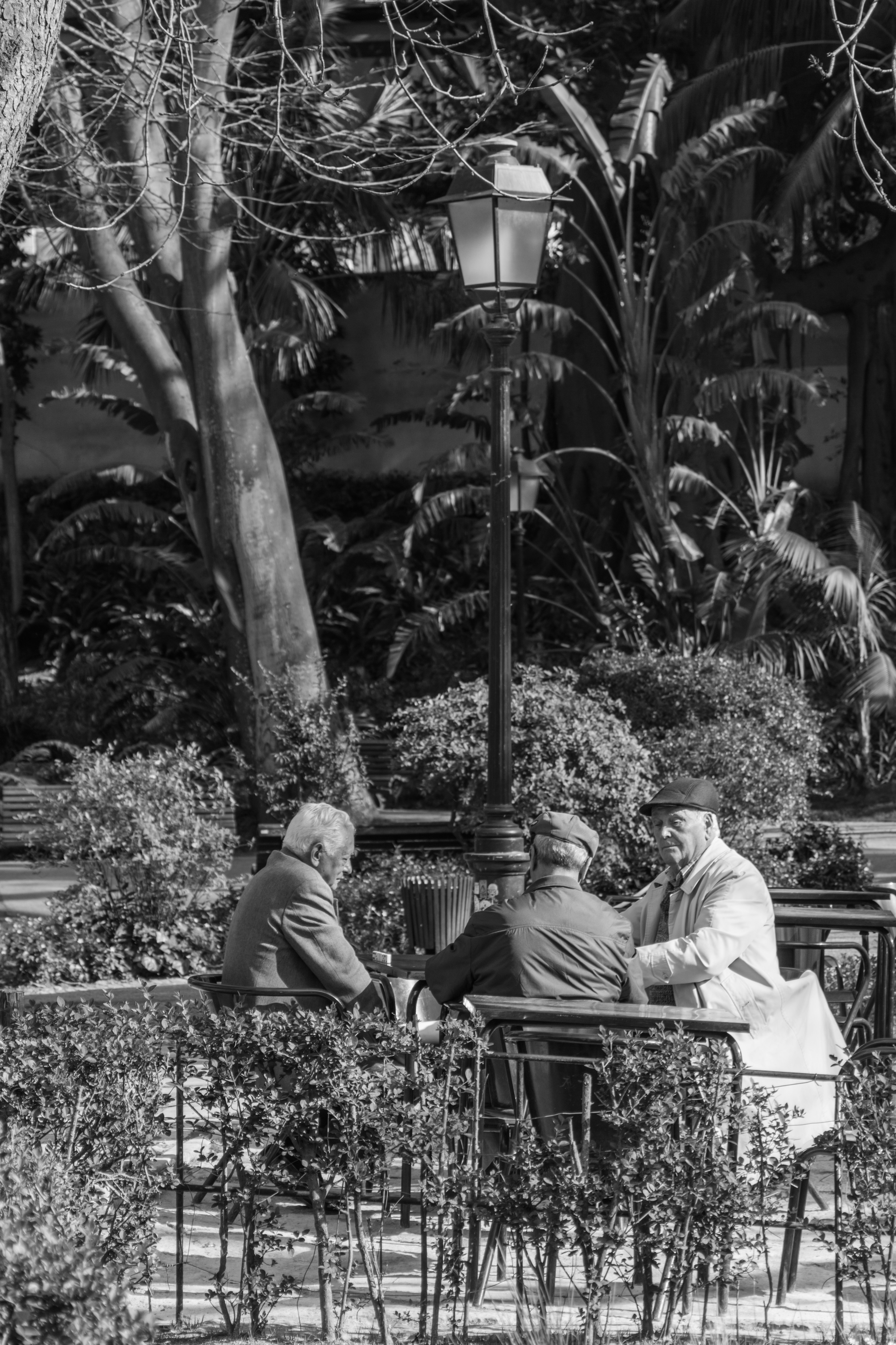 A group of four elderly men are sitting around a table outdoors in a park-like setting, engaged in conversation. They are surrounded by lush greenery and trees, with a streetlamp positioned nearby. The atmosphere appears calm and social.