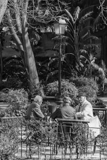 A group of four elderly men are sitting around a table outdoors in a park-like setting, engaged in conversation. They are surrounded by lush greenery and trees, with a streetlamp positioned nearby. The atmosphere appears calm and social.