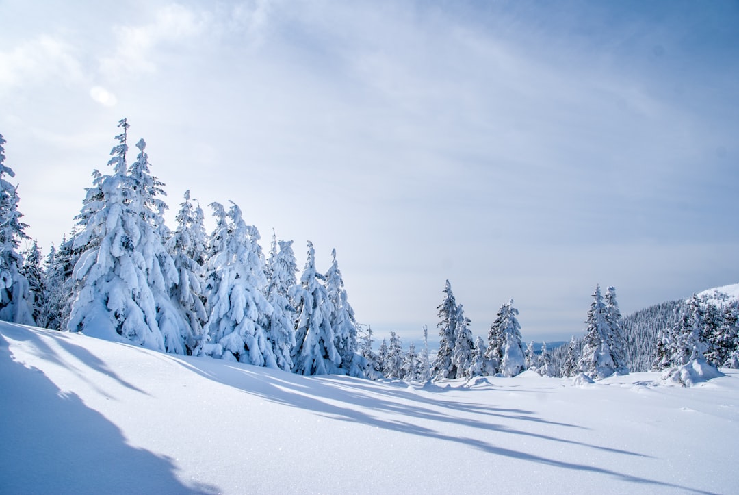 snowfield,